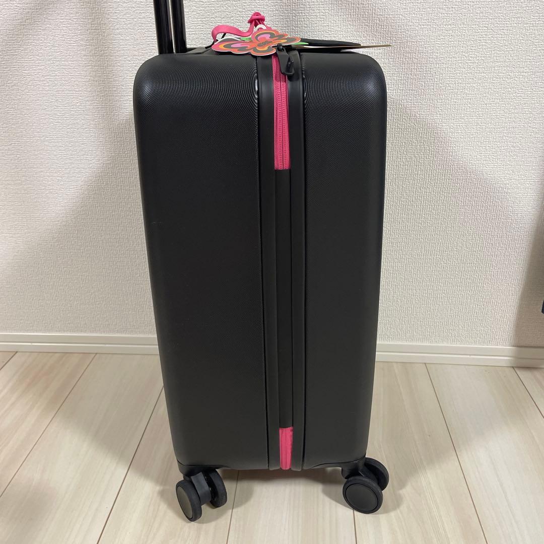 カラタネル様 希少Jade Purple Brown herschel キャリー