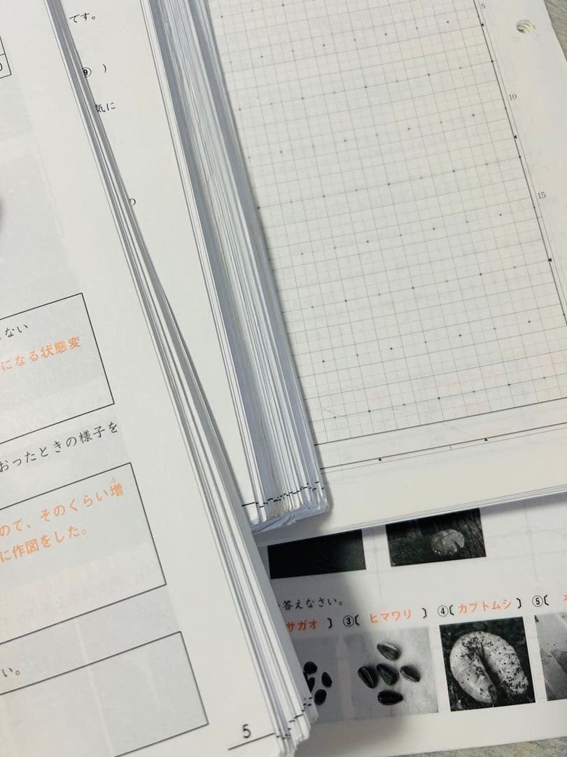 ADサピックス　貴重　暗記教材　5年　理科　重要ポイント　1年分フルセット