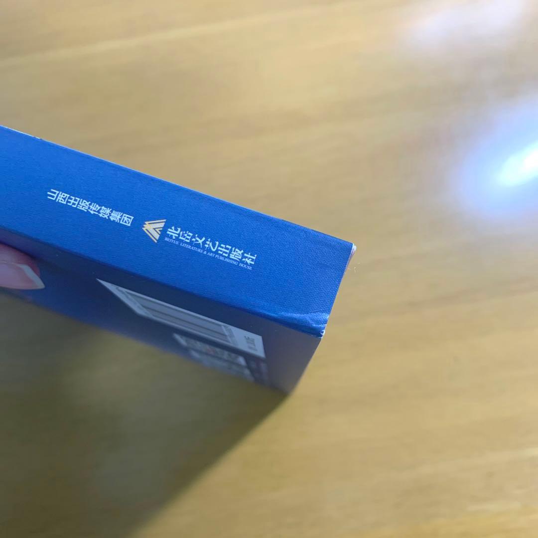 REDUM 初商業画集「日光如 花束般 傾倒」直筆サイン & A3ポスター付き