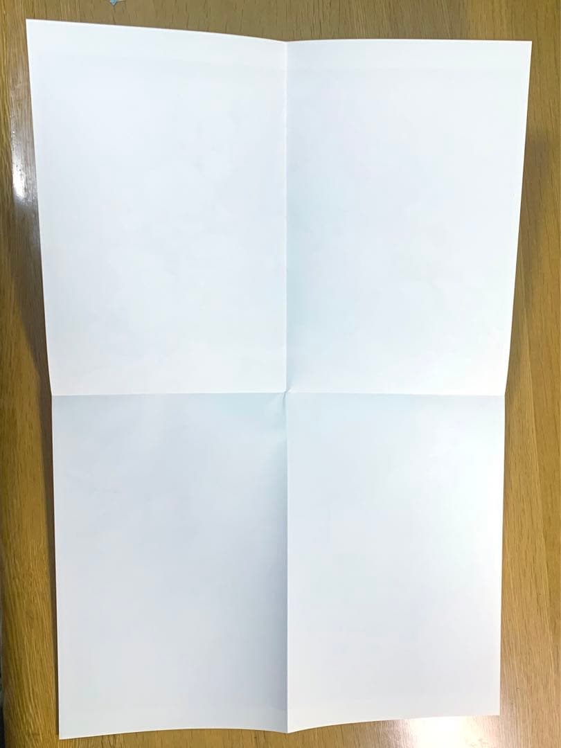 REDUM 初商業画集「日光如 花束般 傾倒」直筆サイン & A3ポスター付き