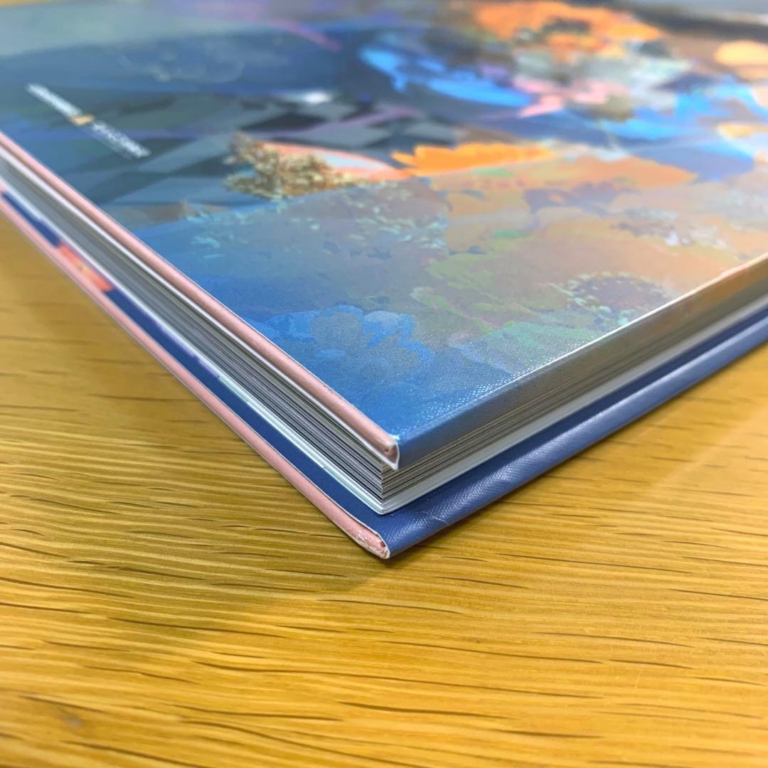 REDUM 初商業画集「日光如 花束般 傾倒」直筆サイン & A3ポスター付き