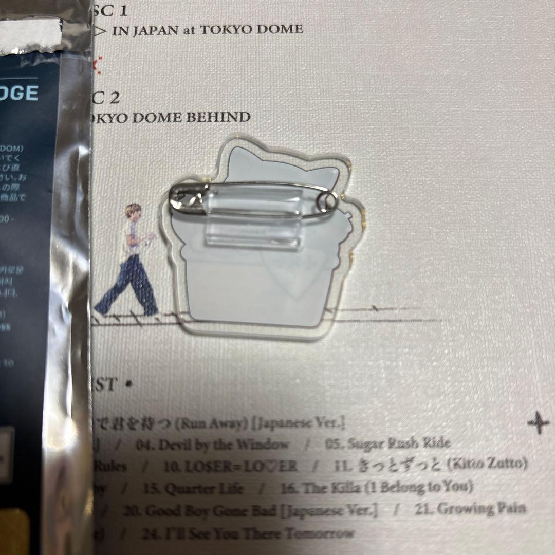 ダゴニャンヘアクリップピンバッジセット