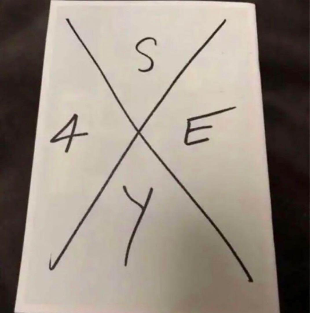 ステッカー付‼️ Sonic Youth SONIC DEATH 五木田智央