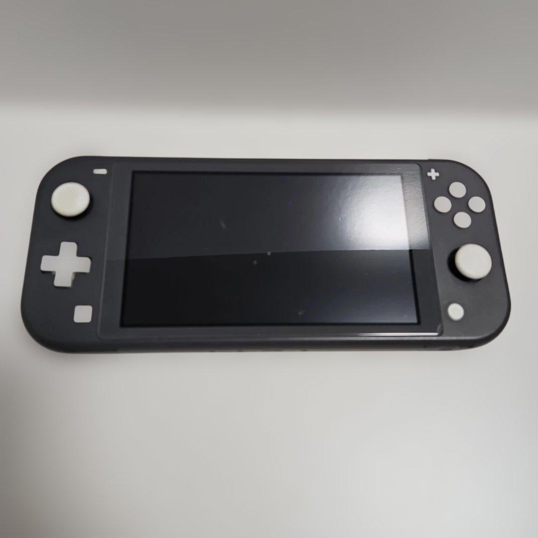 ジャンク品　Switch Lite Nintendo ニンテンドースイッチライト