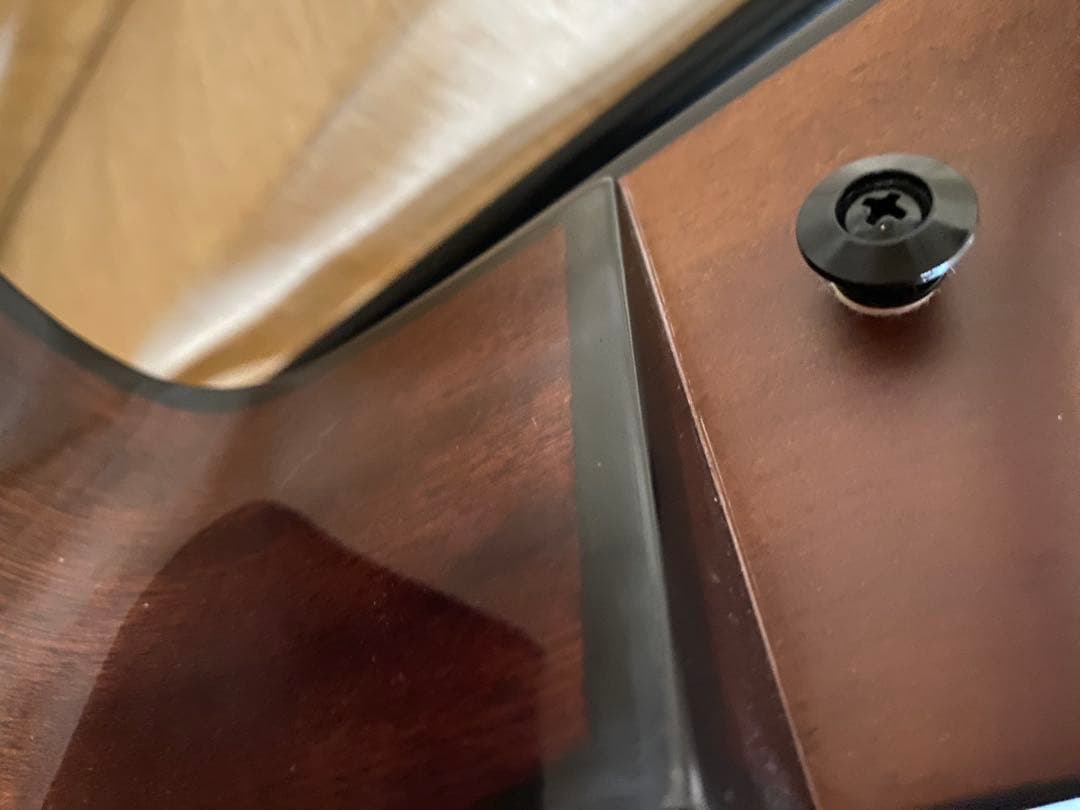 Ibanez アコースティックベース フレットレス　ケース付き