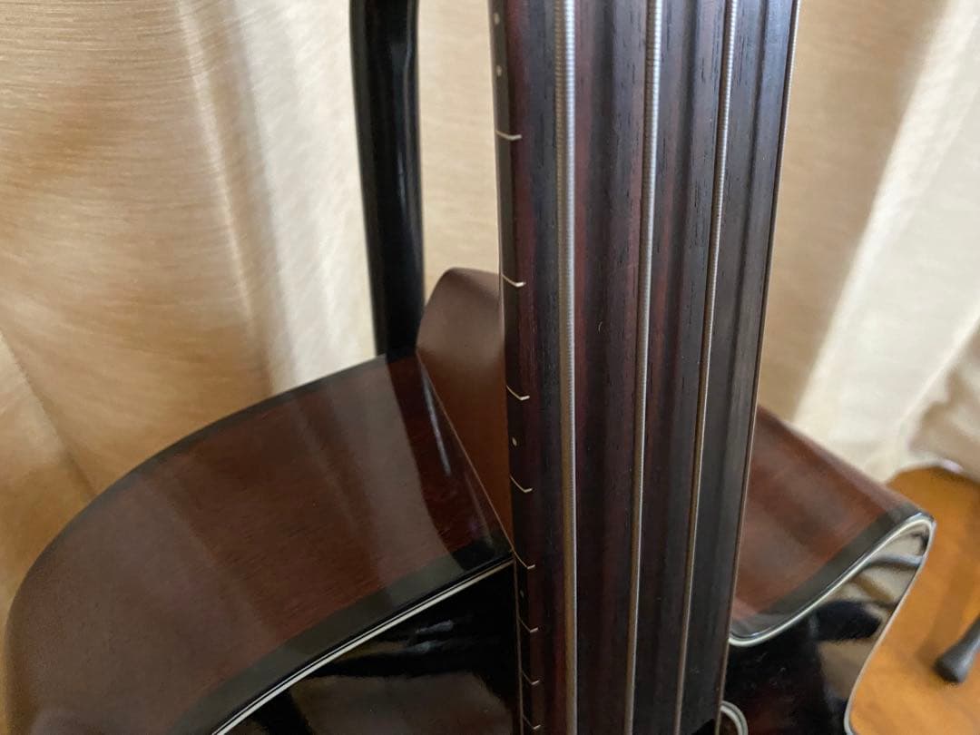 Ibanez アコースティックベース フレットレス　ケース付き