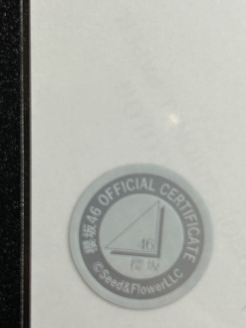 櫻坂46 山﨑天 生写真 直筆