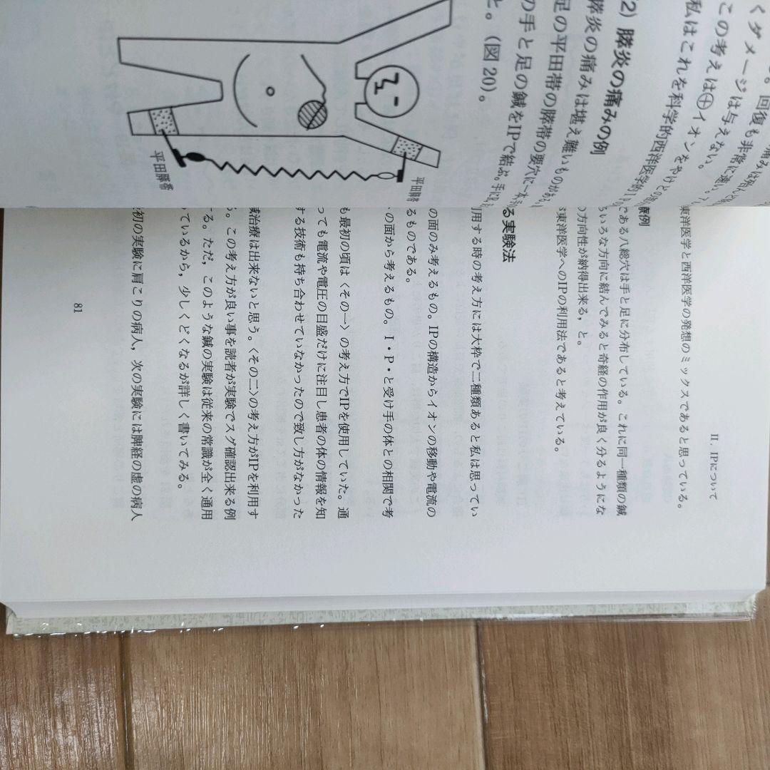 【美品】漢方治療原論　入江FTによる診断と治療 ハードカバー