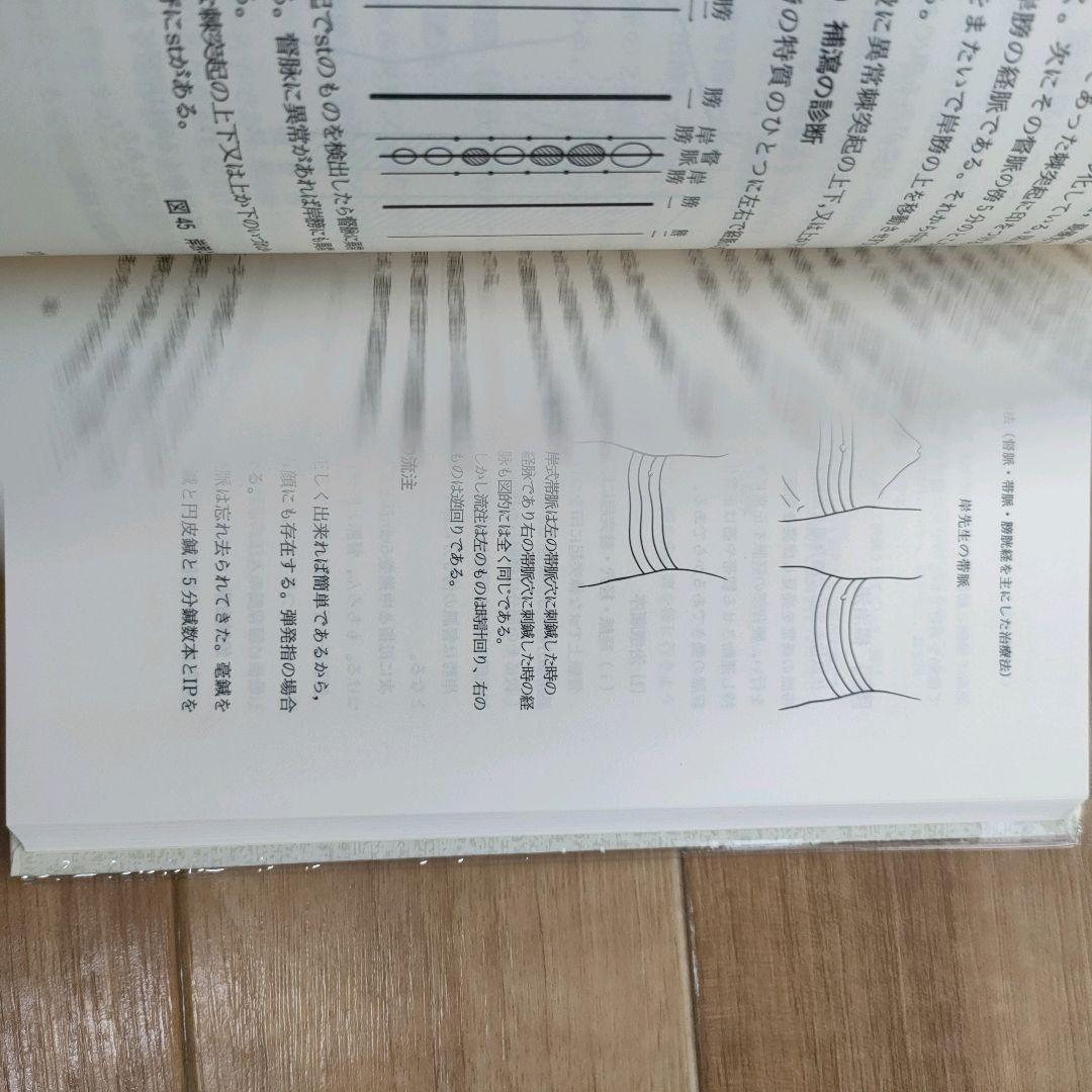 【美品】漢方治療原論　入江FTによる診断と治療 ハードカバー