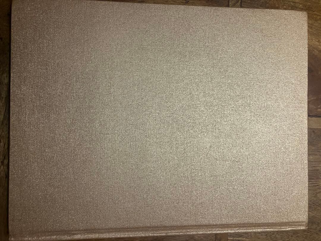 【希少】TSUBI BOOK 2000-2005 Ksubi アートブック　ツビ