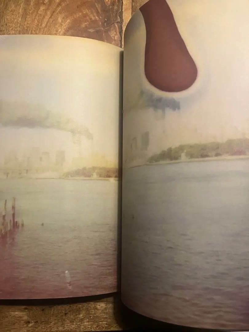 【希少】TSUBI BOOK 2000-2005 Ksubi アートブック　ツビ