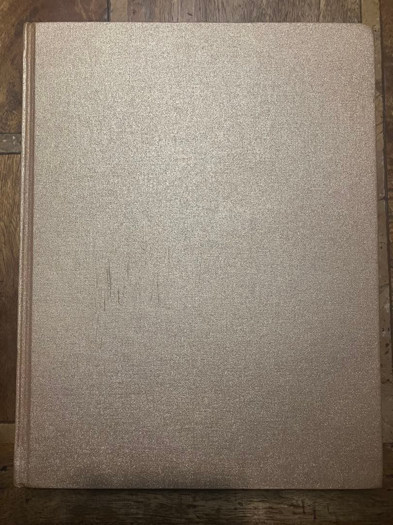 【希少】TSUBI BOOK 2000-2005 Ksubi アートブック　ツビ