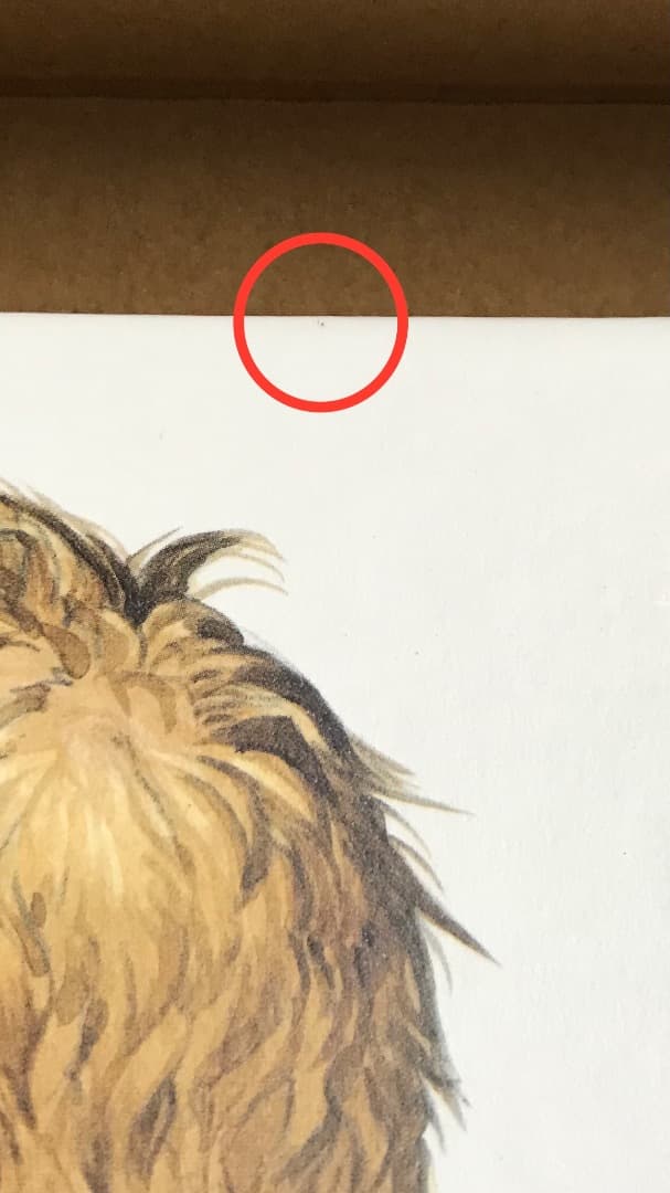 【中古】大友克洋 KABA 2