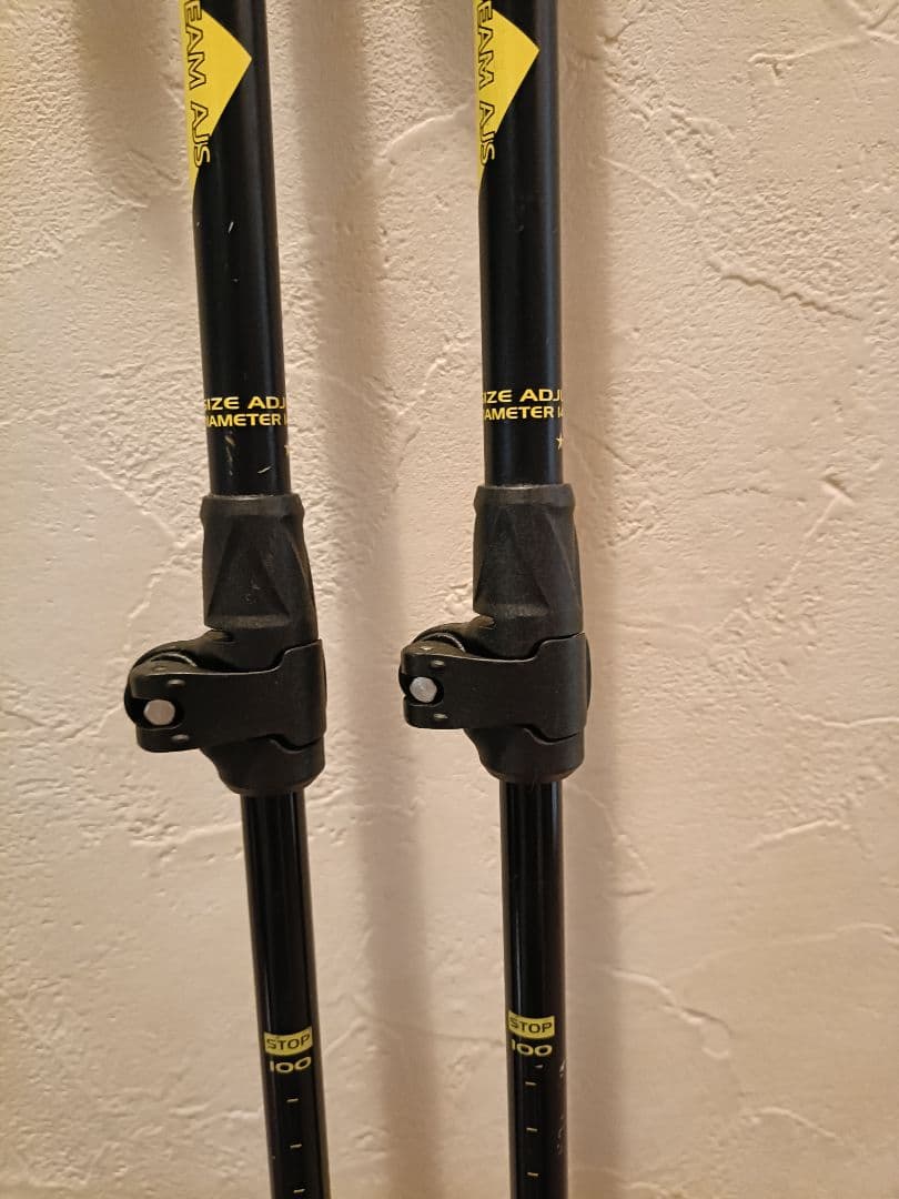 Atomic GL スキー 150cm スキー板　ストック付き