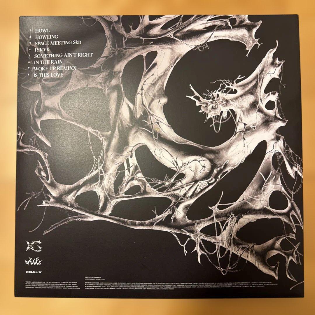 XG アナログレコード