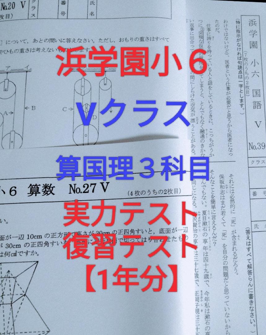 浜学園小６　Ｖクラス　算国理３科目　復習テスト　１年分