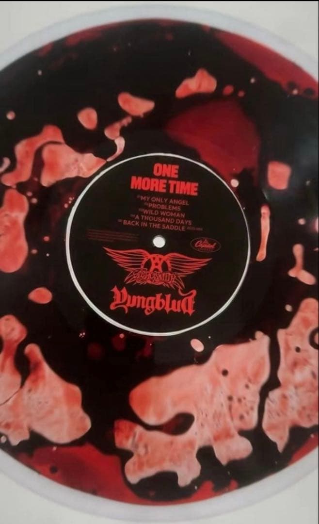 新品！エアロスミスAEROSMITHヤングブラッド超限定bloodレコード