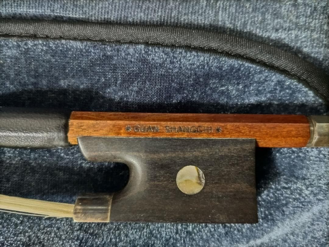 Carlo Giordano バイオリン VS-3A 4/4 （弓、ケース付）