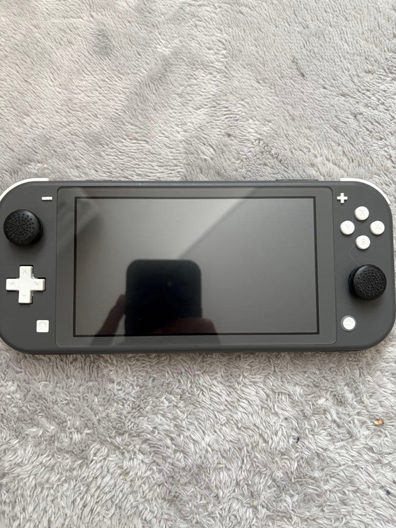 スイッチライト　グレー　SD付き