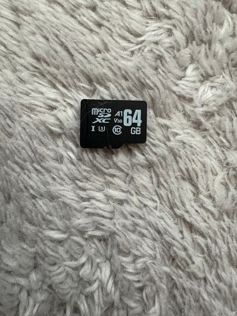 スイッチライト　グレー　SD付き