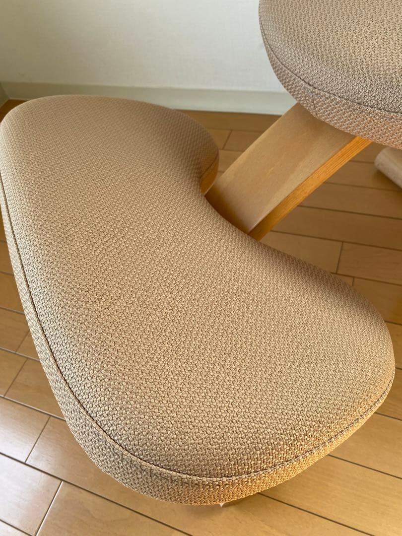 美品　純正黒カバー付き　バランスイージー　ショートフレーム