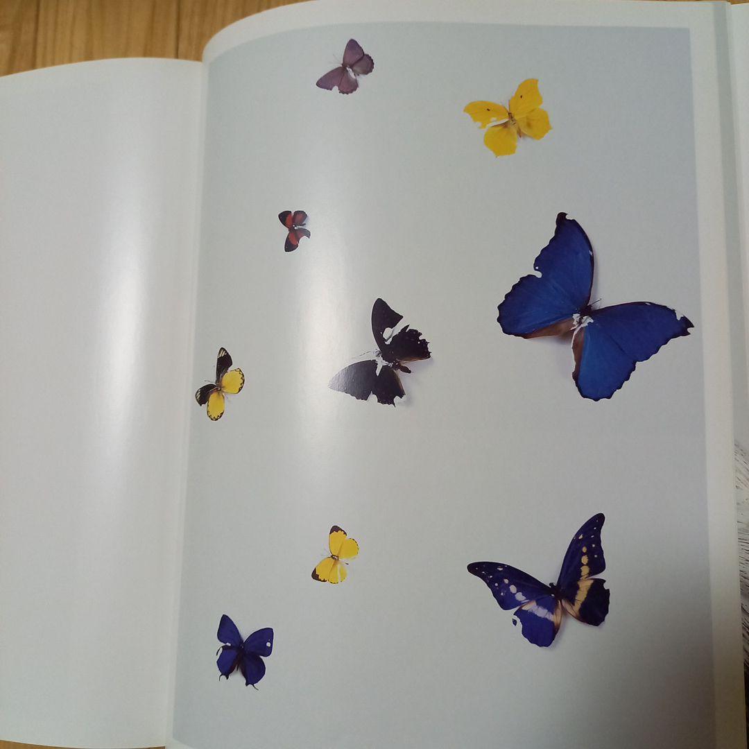 洋書ダミアン.ハースト作品集　BEYOND BERIEF 2008年　イギリス