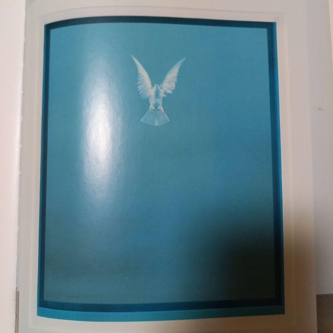 洋書ダミアン.ハースト作品集　BEYOND BERIEF 2008年　イギリス