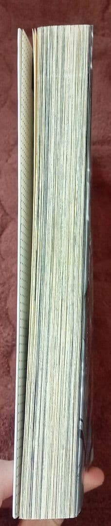 石川賢 超護流符伝 ハルカ マンガ