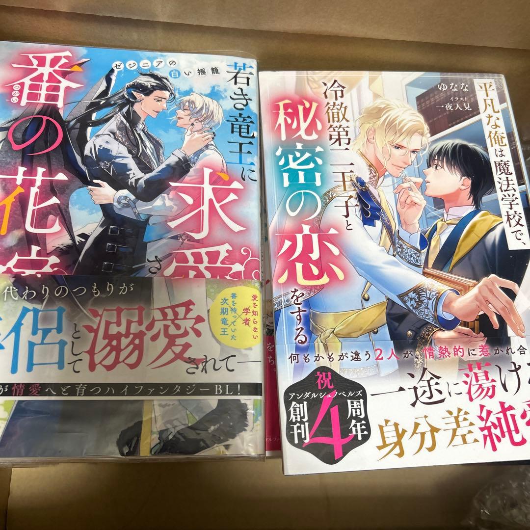 bl小説大判サイズ纏め売りセット　アンダルシュノベルズ他
