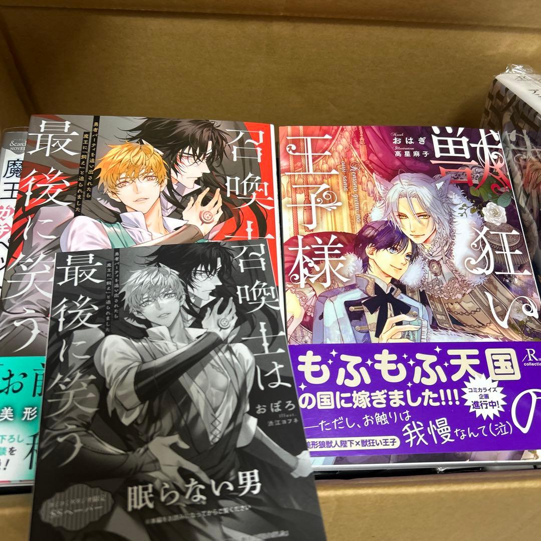 bl小説大判サイズ纏め売りセット　アンダルシュノベルズ他