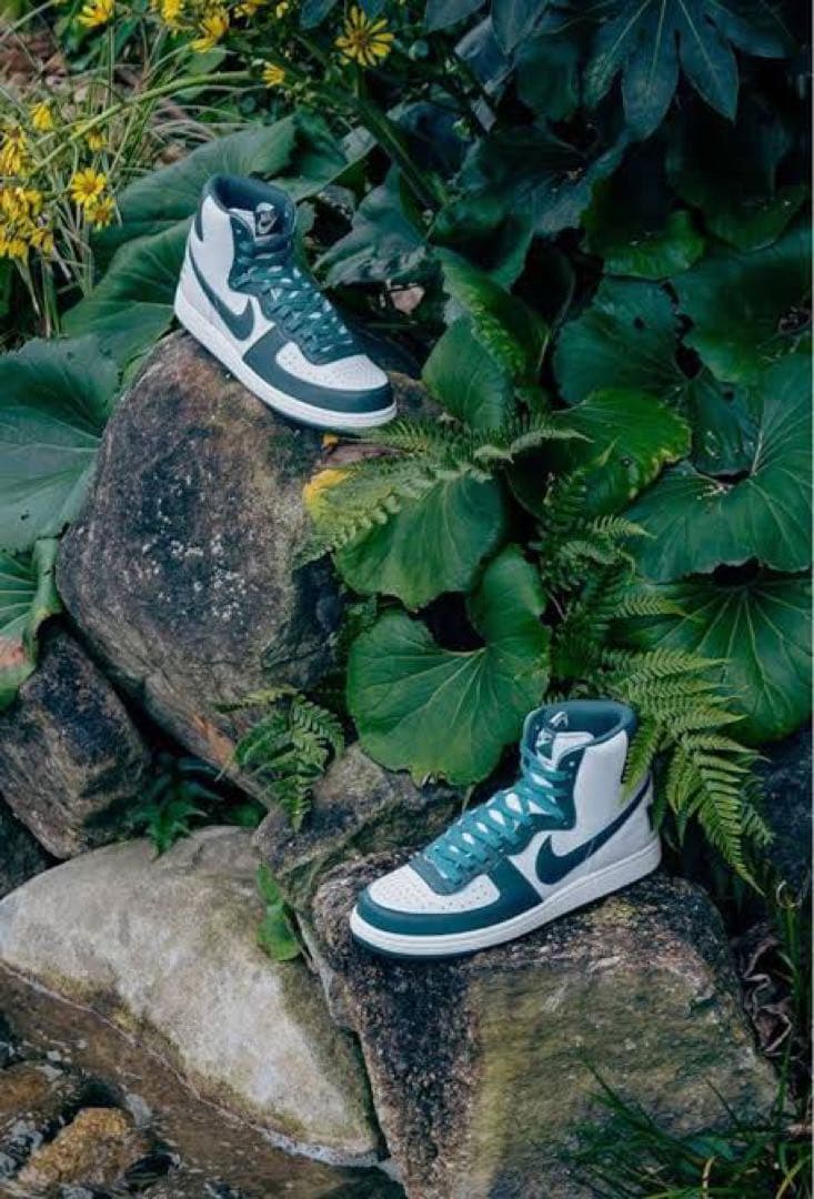 再値下❗️NIKE ターミネーターハイ グリーン 24センチ 箱付き