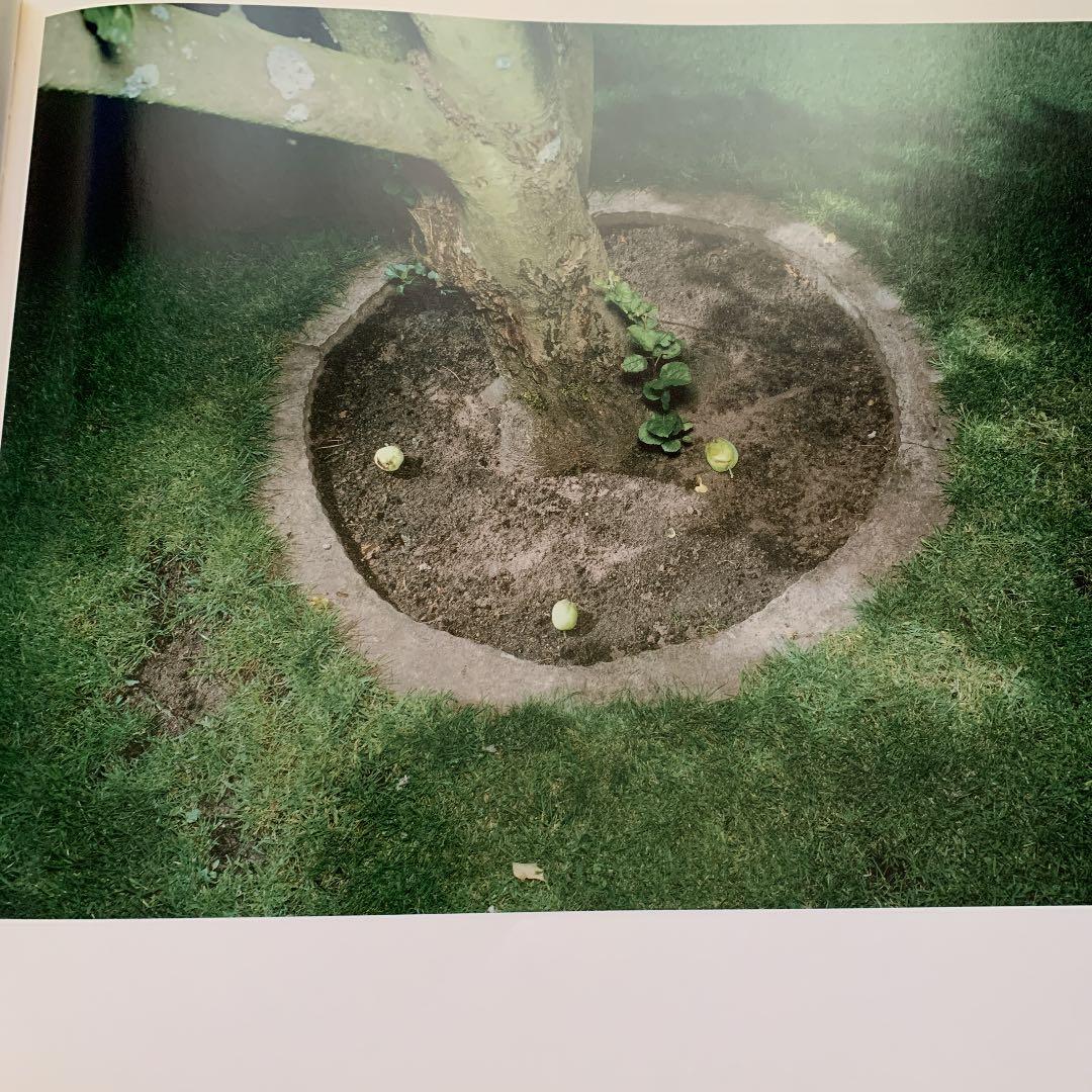 アート・デザイン・音楽 lars tunbjork / .