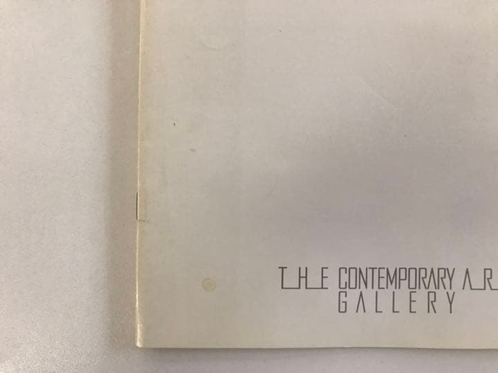 ★オノサト・トシノブ油彩展図録 ONOSATO