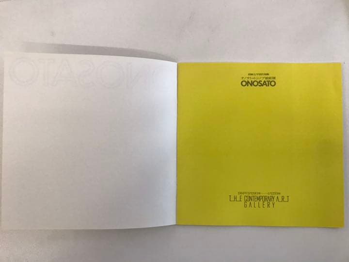 ★オノサト・トシノブ油彩展図録 ONOSATO