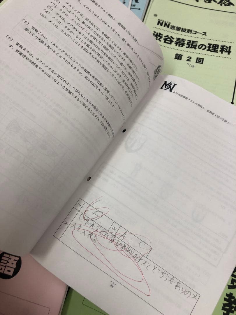 早稲田アカデミー6年　NN渋谷幕張　日曜講座/正月特訓他 中古　2025受験