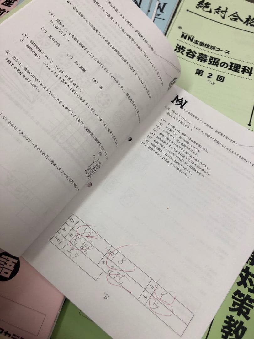 早稲田アカデミー6年　NN渋谷幕張　日曜講座/正月特訓他 中古　2025受験