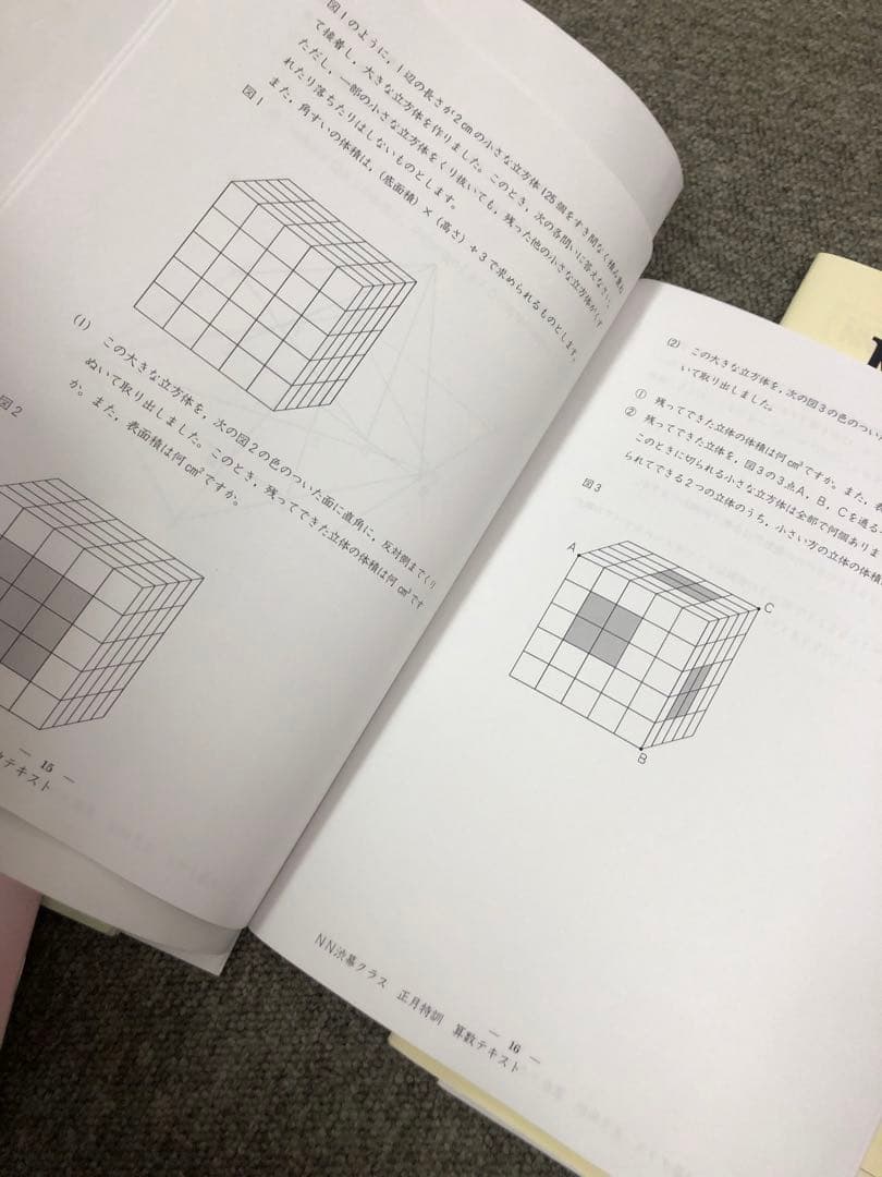 早稲田アカデミー6年　NN渋谷幕張　日曜講座/正月特訓他 中古　2025受験