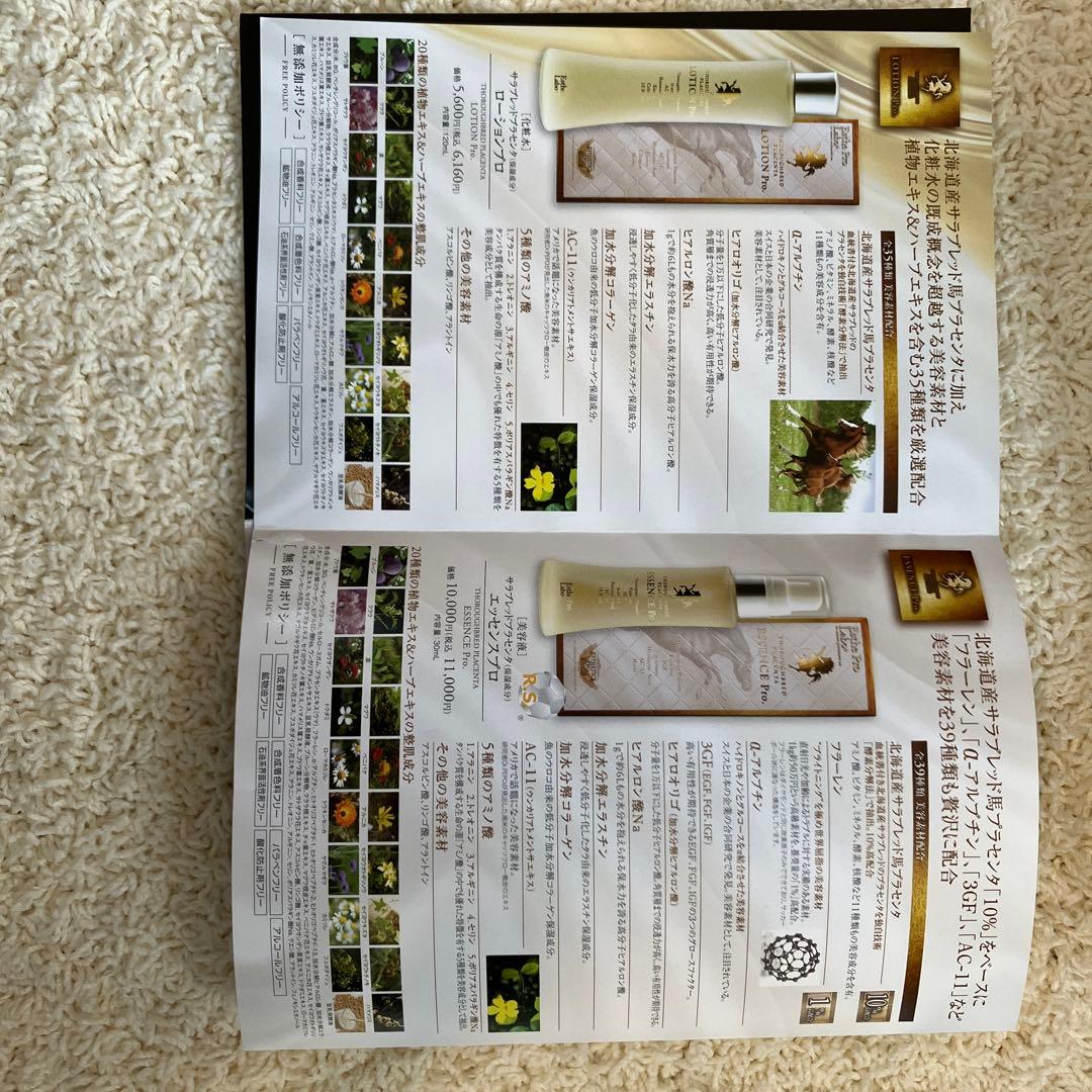 アウタービューティープログラム