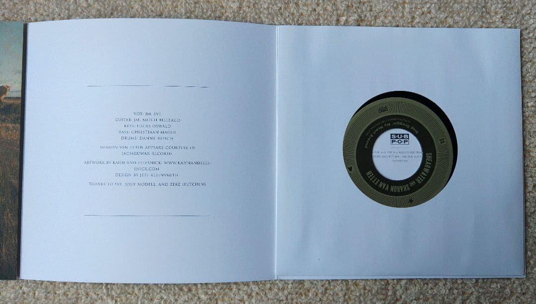 Shearwater And Sharon Van Etten レコード