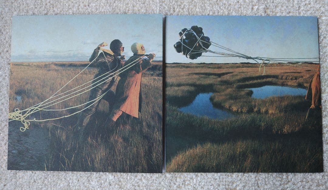 Shearwater And Sharon Van Etten レコード