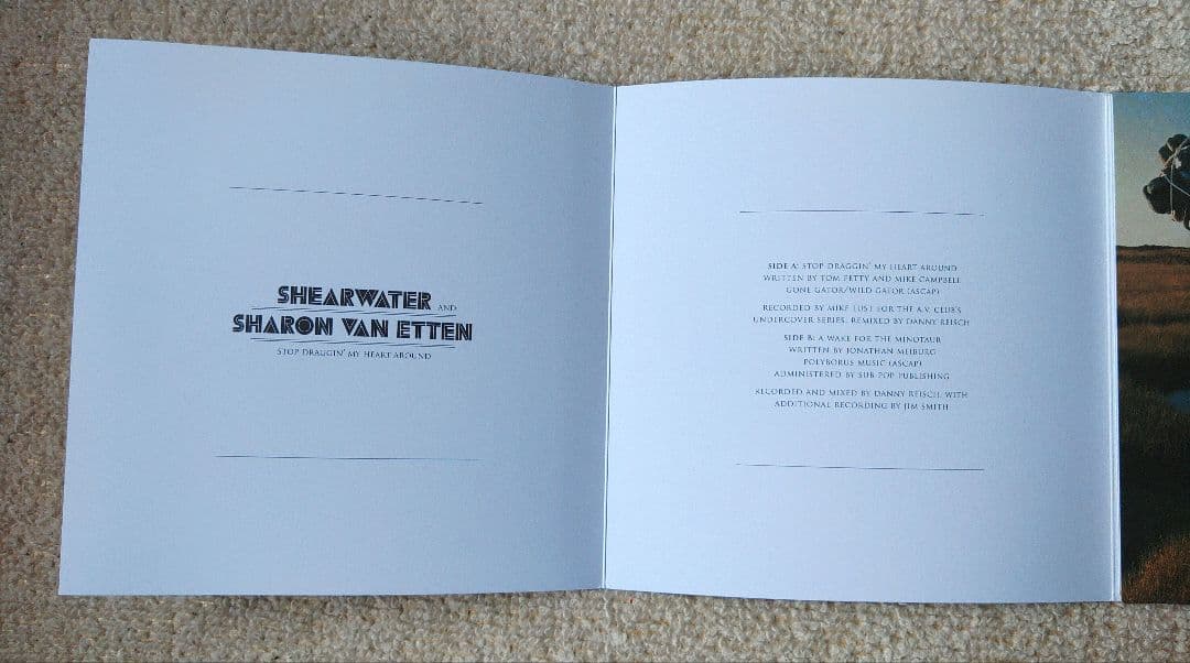 Shearwater And Sharon Van Etten レコード