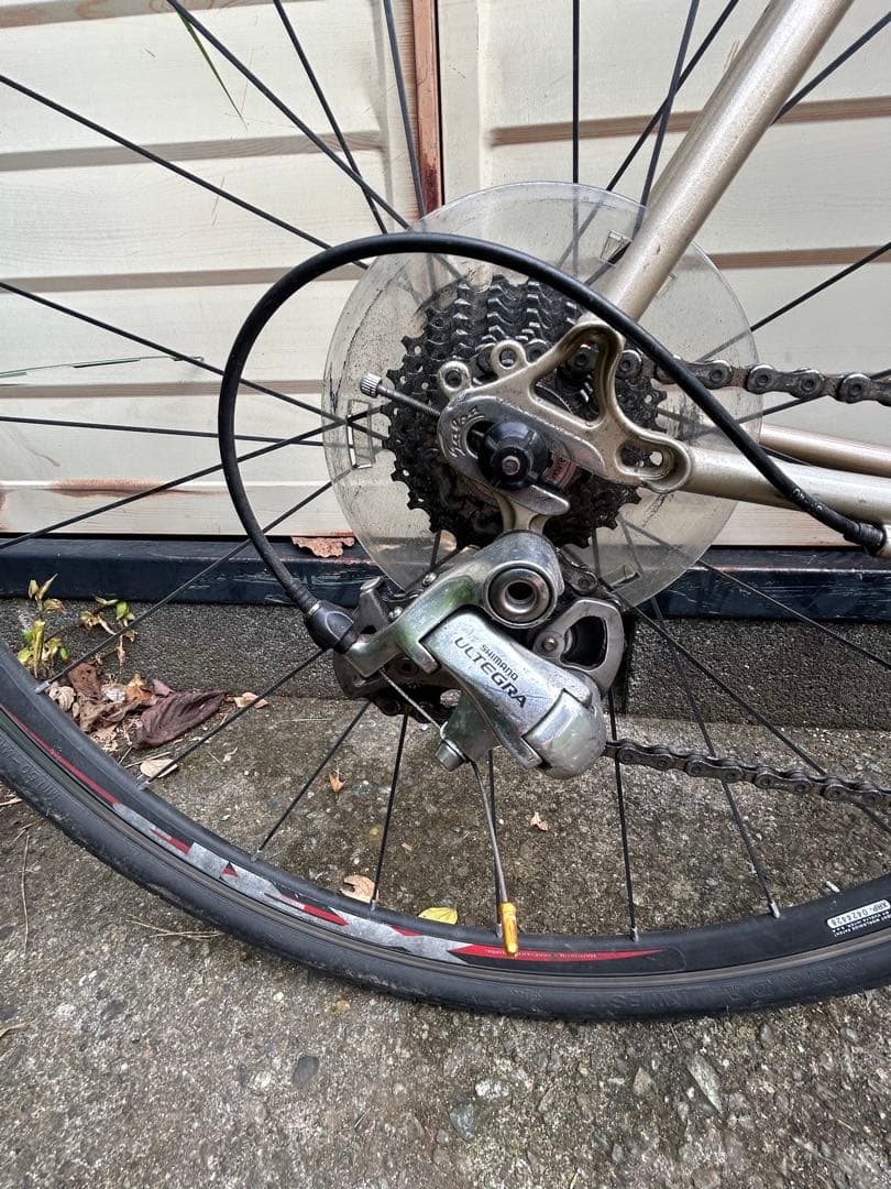 最終値下げ　Salsa Casseroll