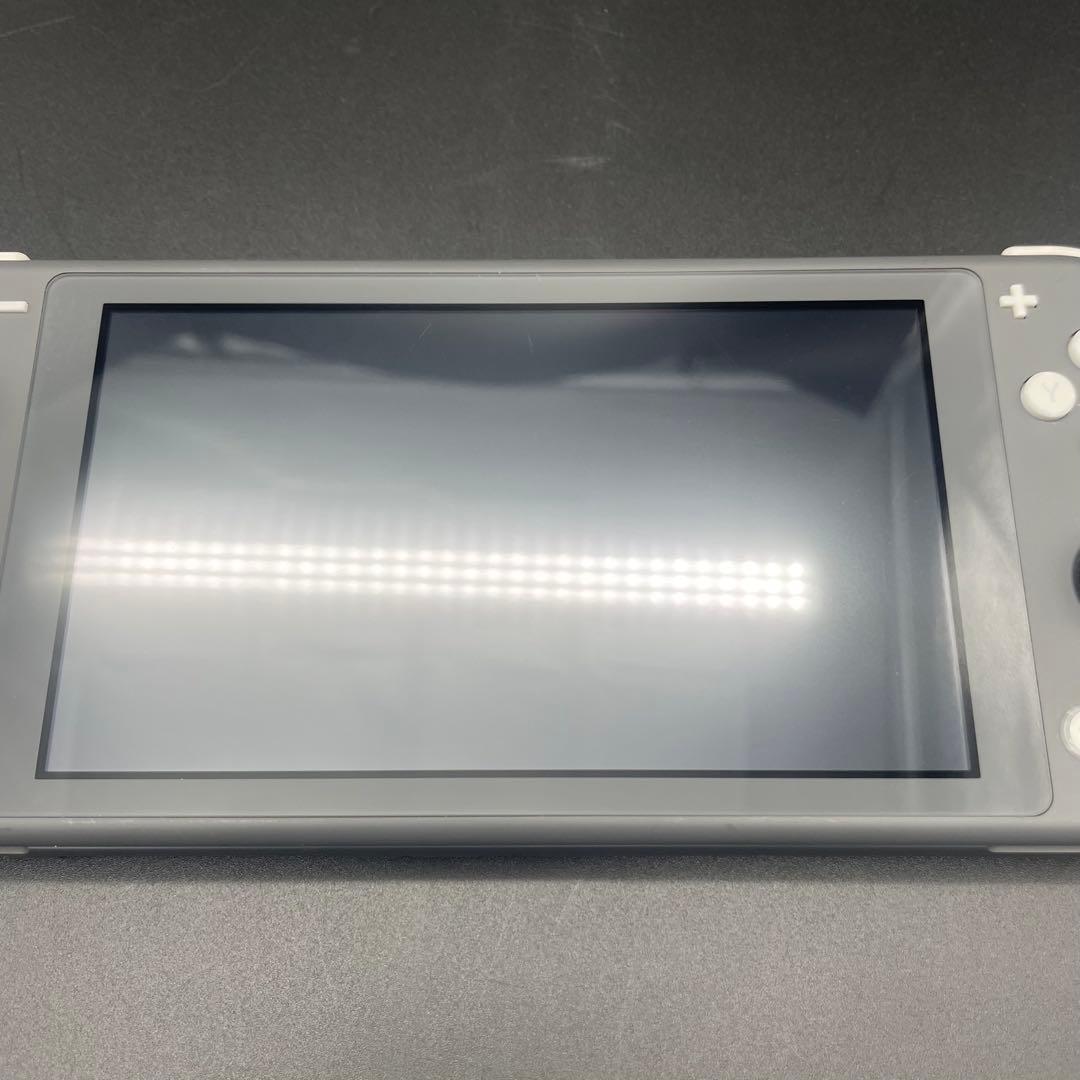◯Nintendo Switch Lite グレー 本体 アダプター ケース 付
