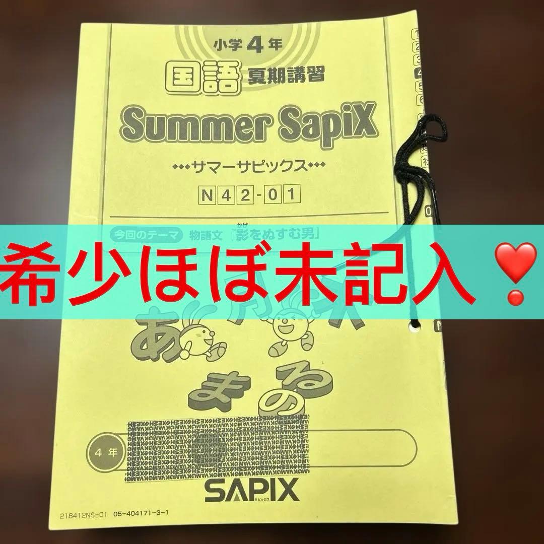 ⑱え　希少未記入　サマーサピックス　SAPIX 小学4年 国語　夏期講習