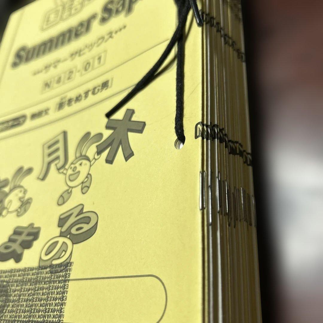 ⑱え　希少未記入　サマーサピックス　SAPIX 小学4年 国語　夏期講習