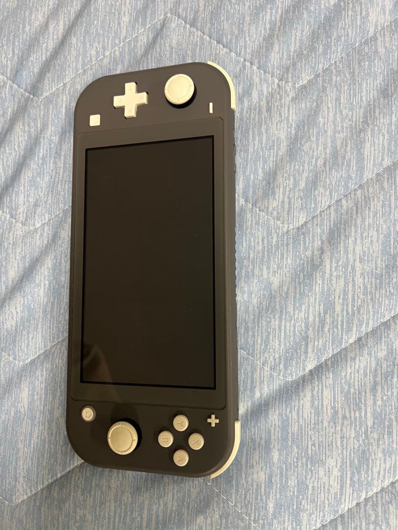 任天堂 Switch Lite グレー 箱付き
