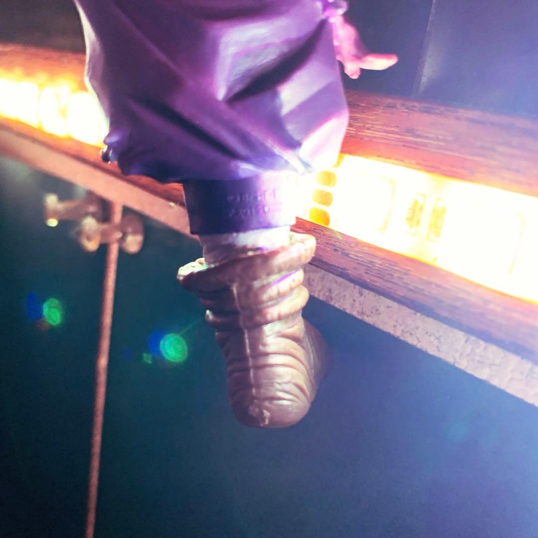 コミック・アニメ camellia