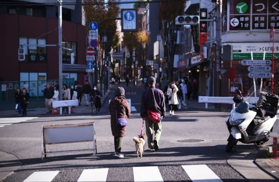 新品　未使用　XENON-EMERALD 50mm F2.2
