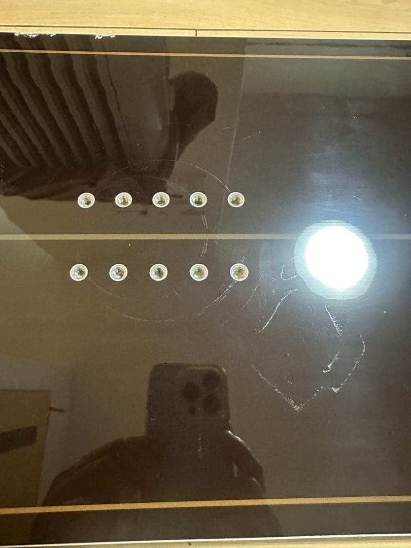 たなかぴーぽー 　MOSS スノースティック U4