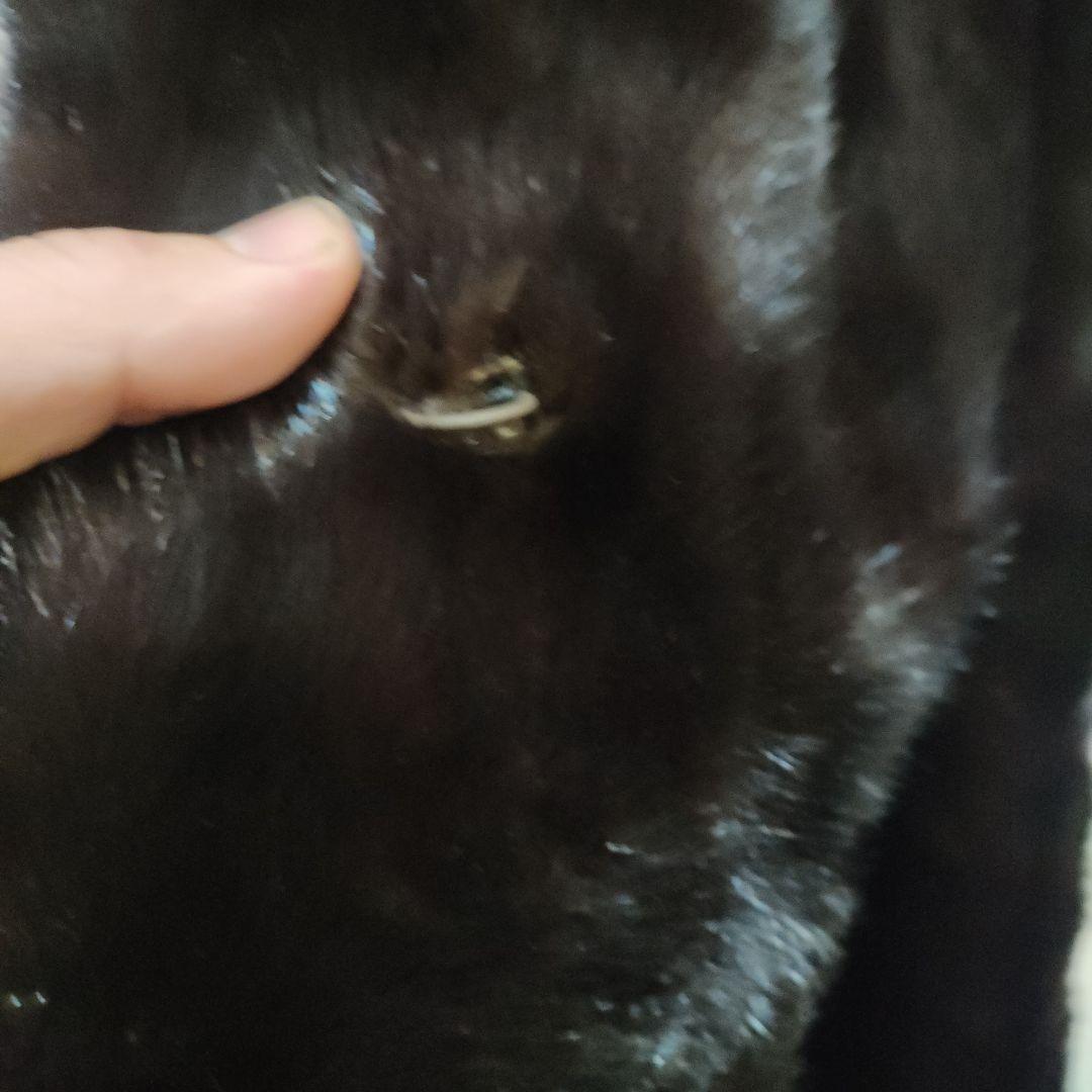 5 超美品　エンバ　EMBA　ミンクファーコート　ロングコート